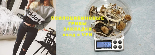 молекула духа Михайлов