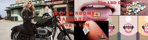 молекула духа Михайлов