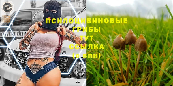 мет Михайловск