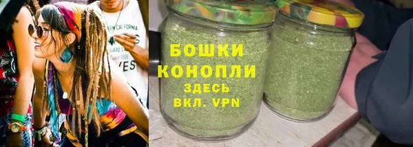 молекула духа Михайлов