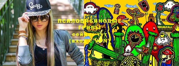 молекула духа Михайлов