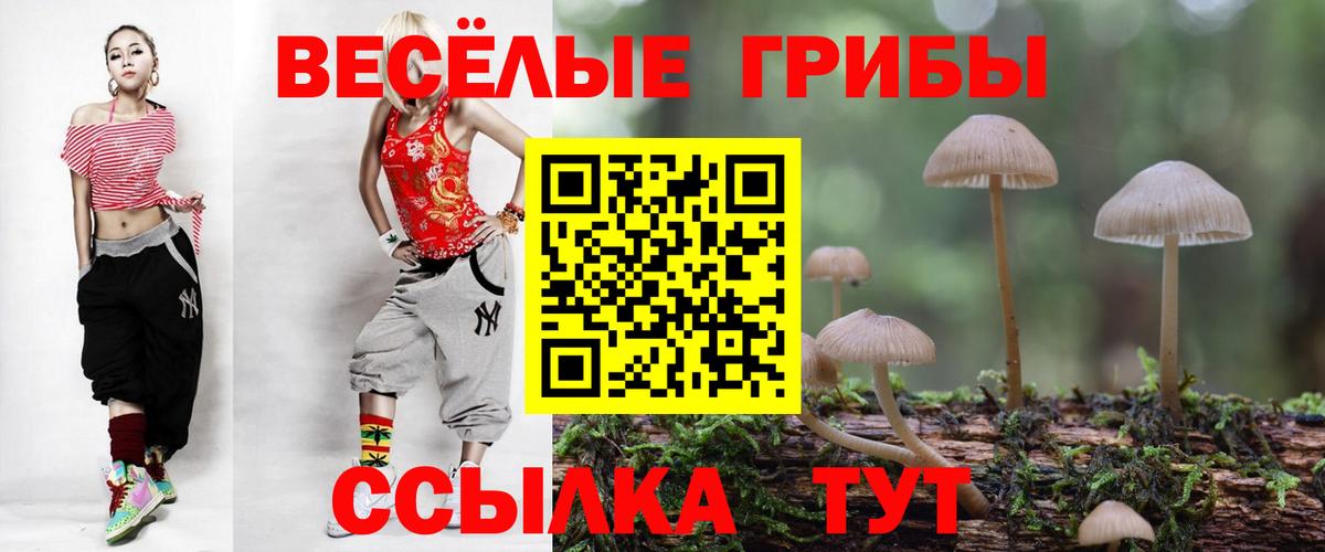 Галлюциногенные грибы Cubensis  Дзержинск  Псилоцибиновые грибы Psilocybe 