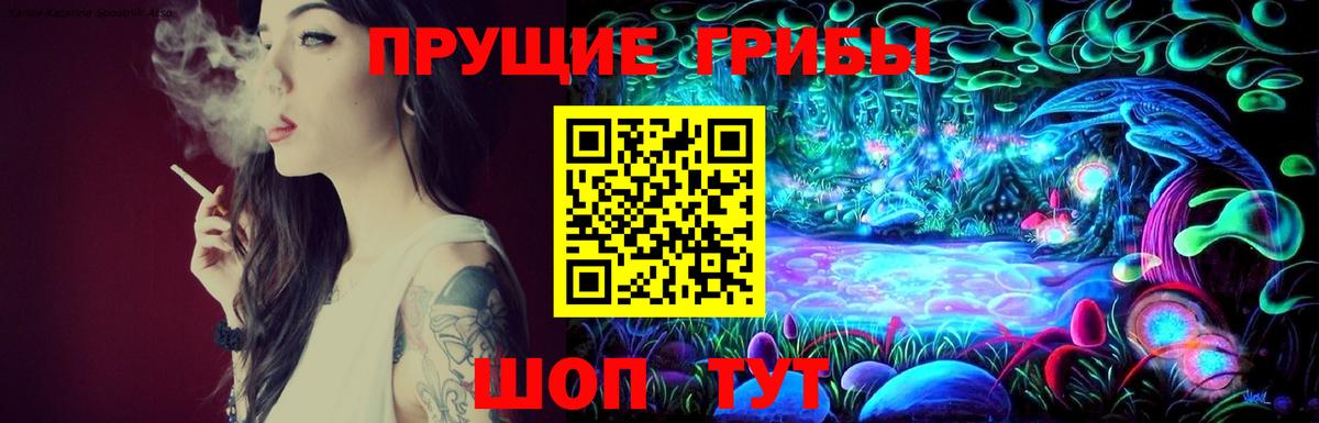 Псилоцибиновые грибы GOLDEN TEACHER Дзержинск