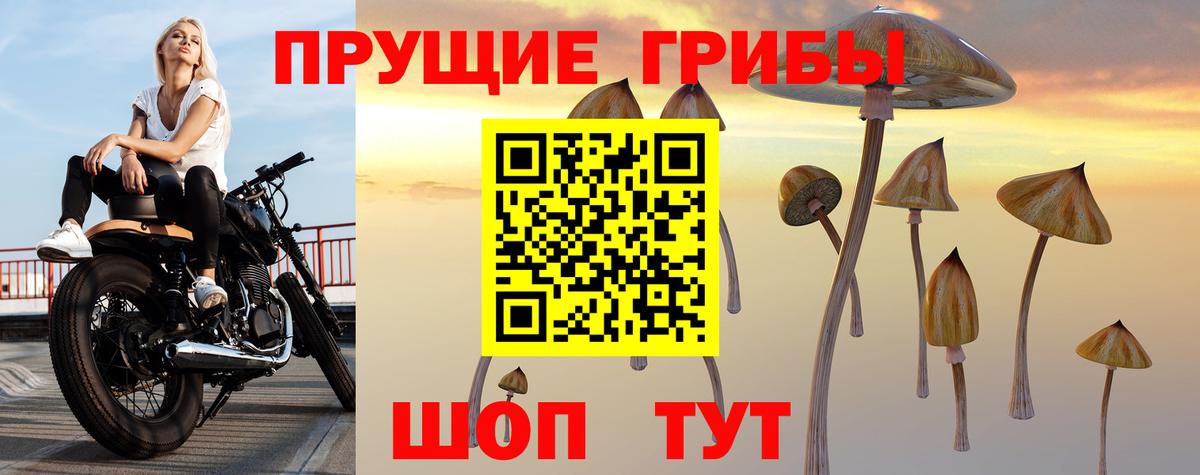 Галлюциногенные грибы ЛСД Дзержинск